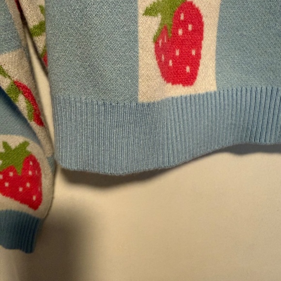Anthropologie Luna Ivy Strawberry Blue White Checkered Sweater Size Large - Picture 7 of 13